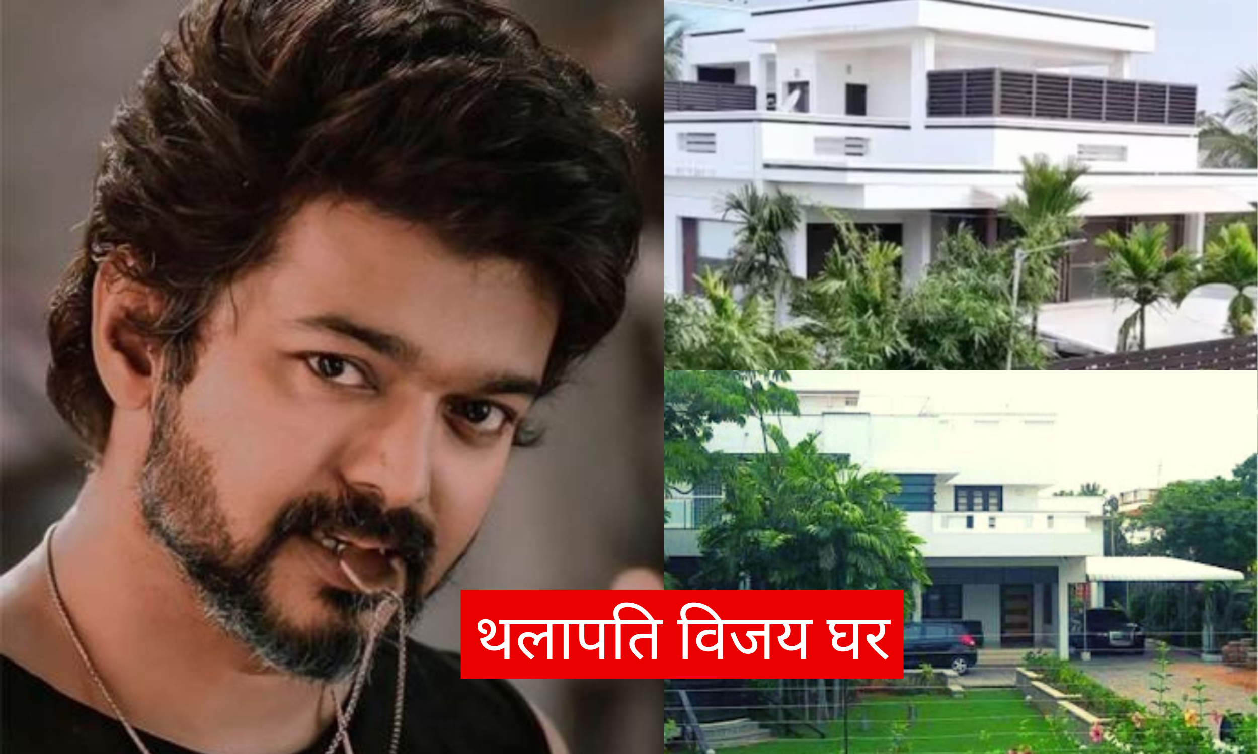 थलापति विजय घर